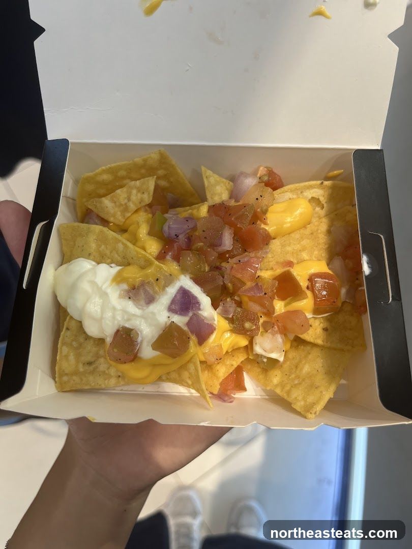 Nachos with cheese and toppings