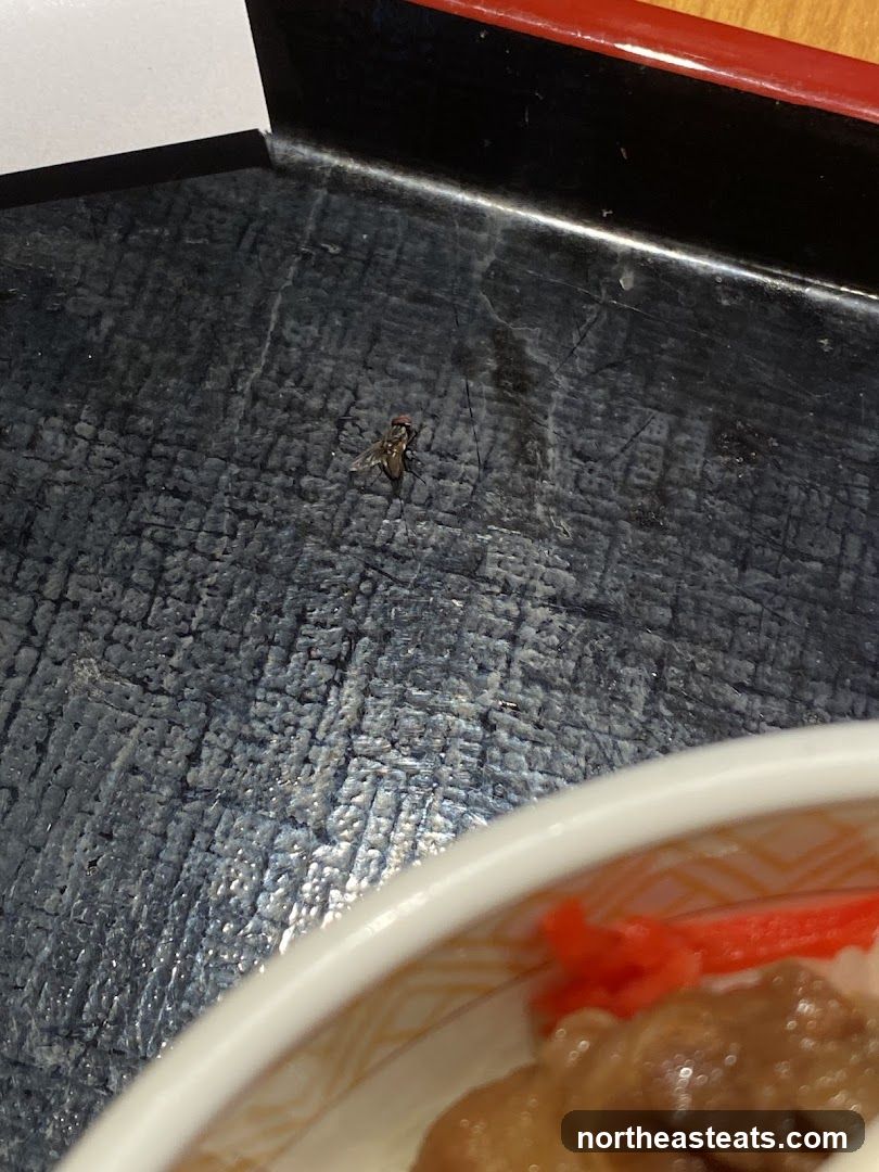 Fly on a tray