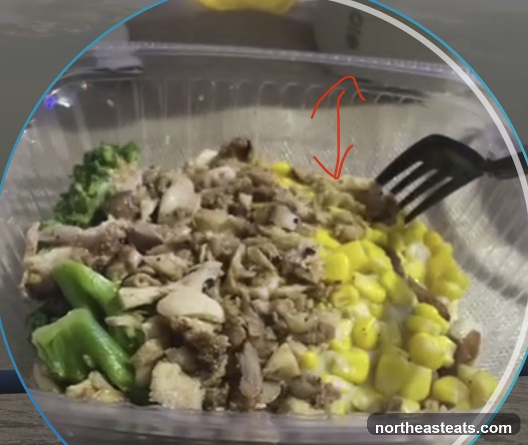 Food Bowl
