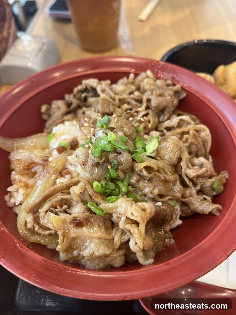 Beef Bowl