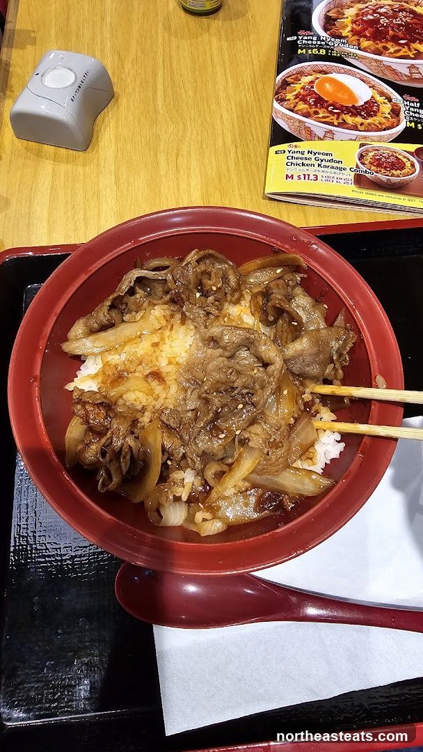 Beef and Onion Rice Bowl