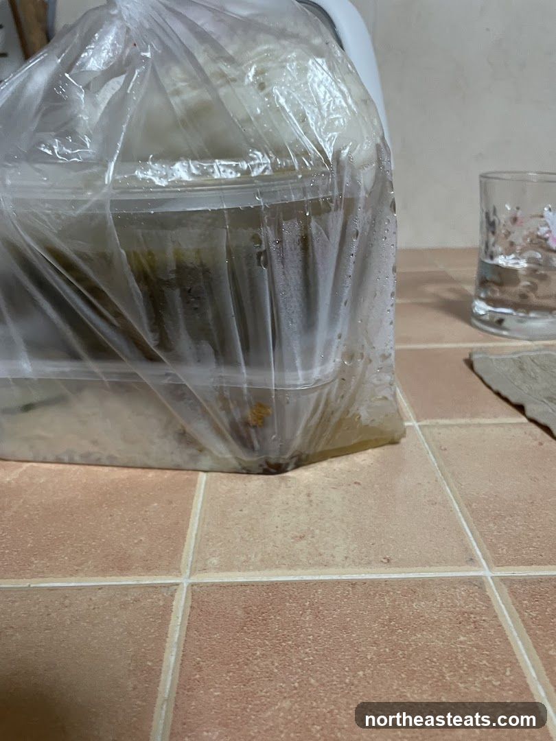 Takeout Food in Plastic Bag