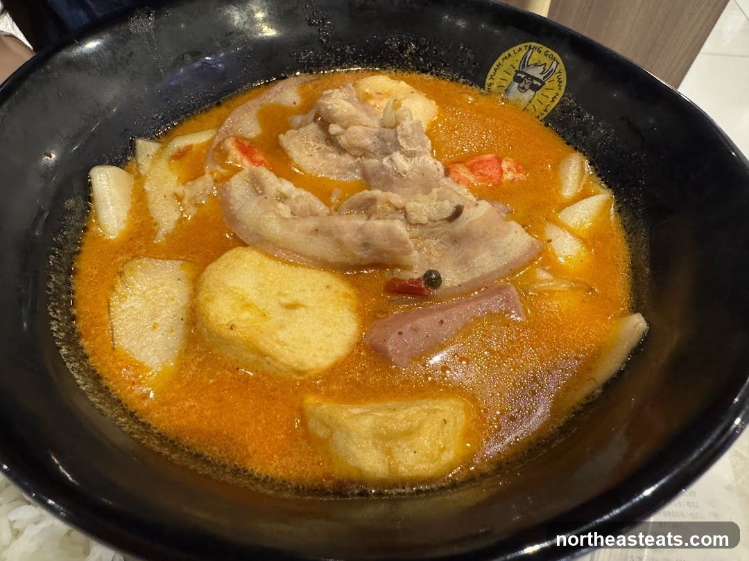 Spicy Noodle Soup