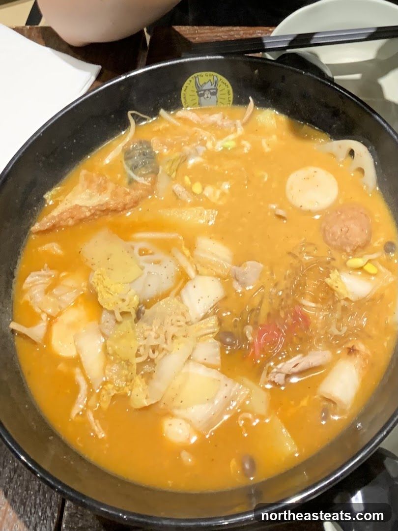 Spicy Noodle Soup