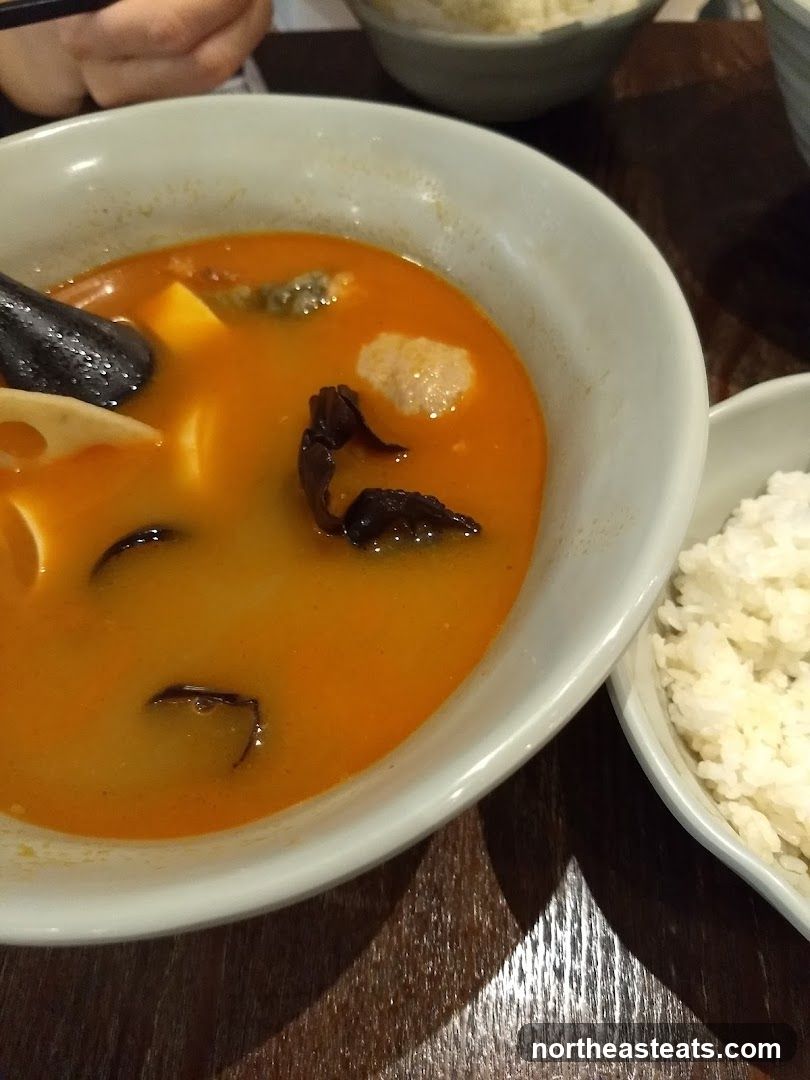 Spicy Soup with Rice