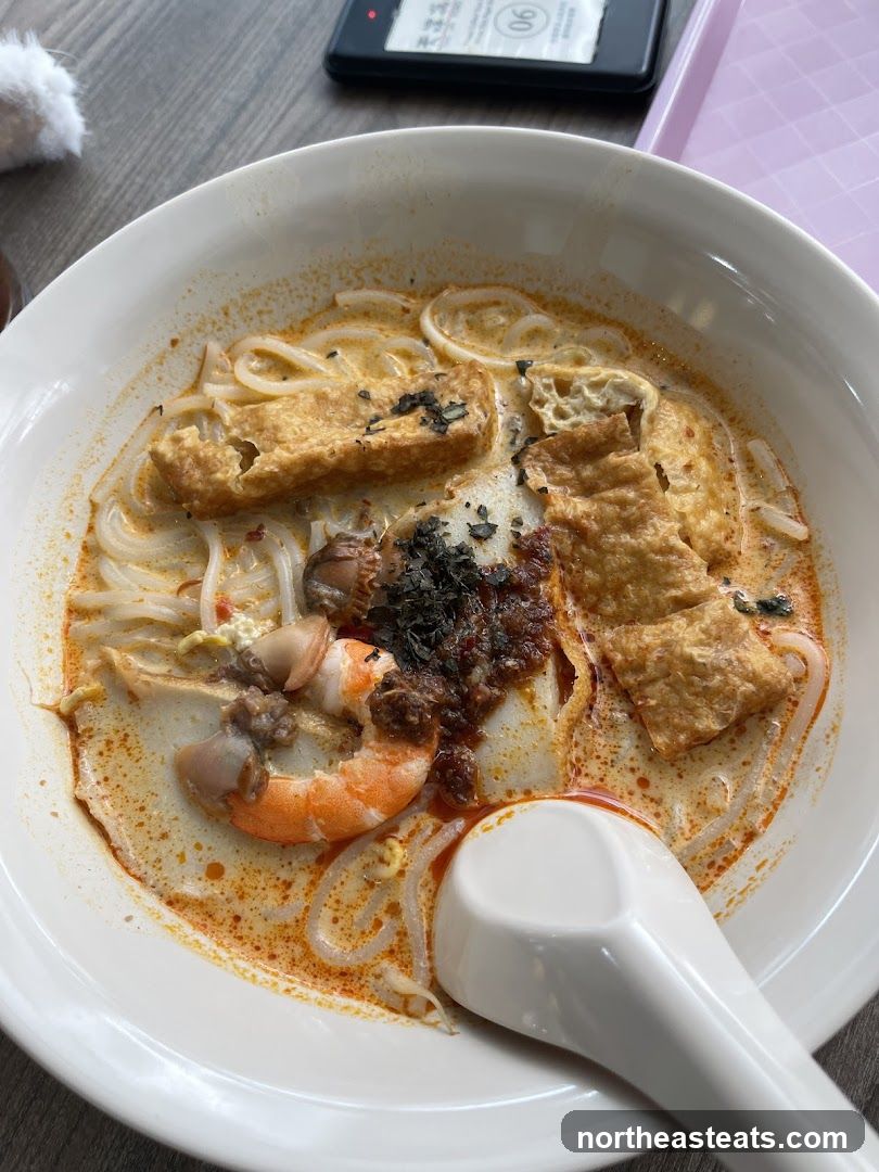 Laksa Noodle Soup
