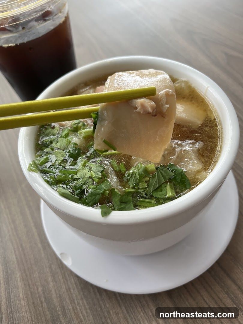 Bowl of Soup with Meat and Herbs