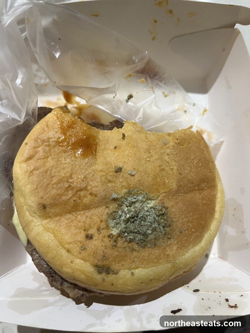 Moldy Burger