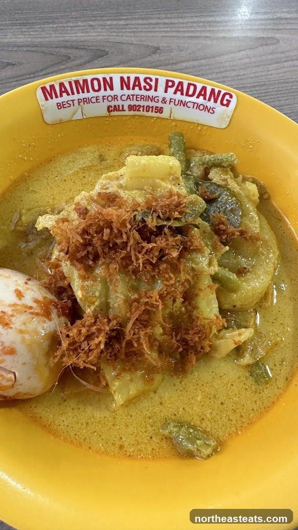 Nasi Padang Dish