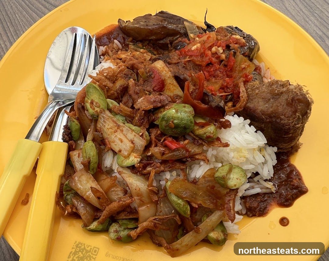Plate of Rice with Stir-fried Vegetables and Fried Item