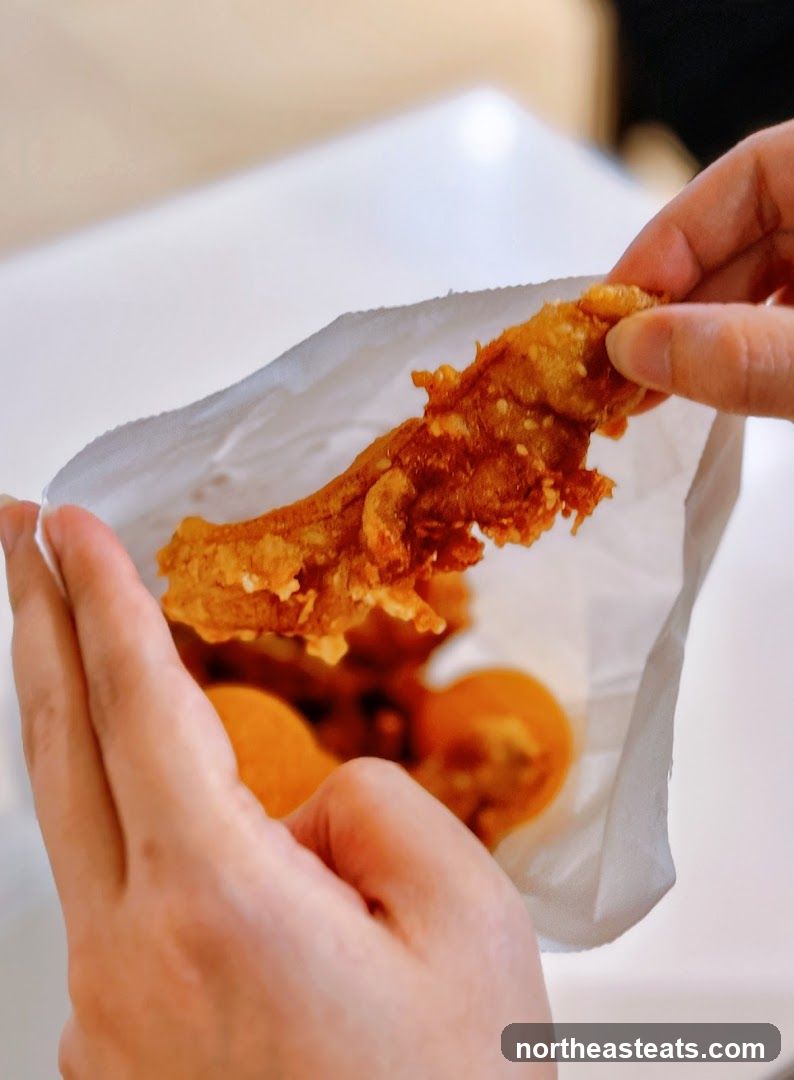 Fried Food in Bag