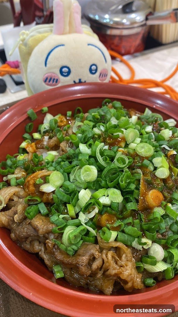 Beef bowl with green onions