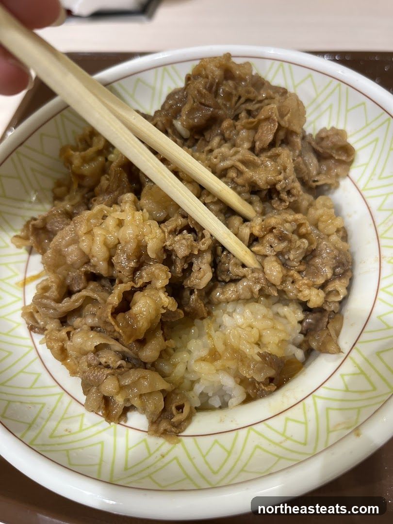 Beef Bowl