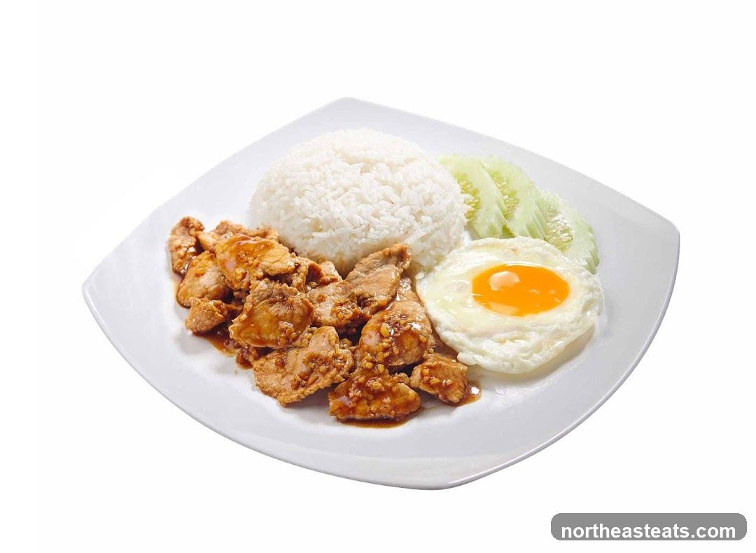 Garlic Pork with Rice and Egg