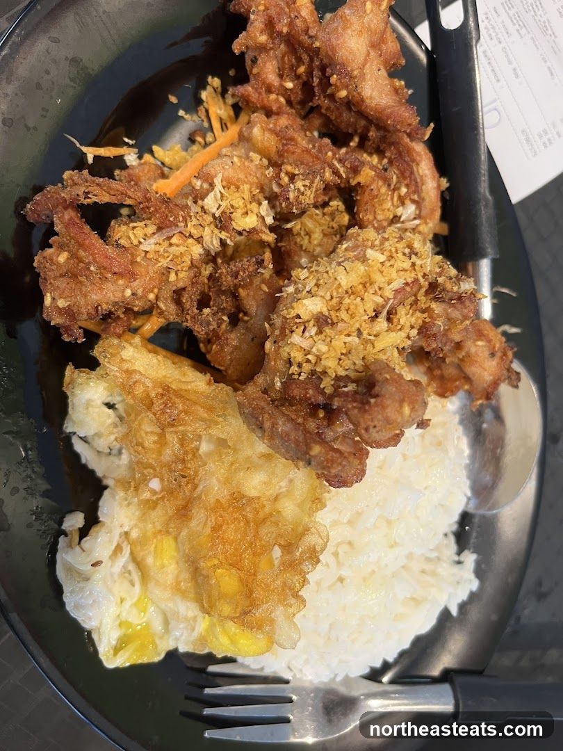 Fried Pork with Rice and Egg