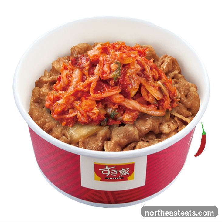 Beef bowl with kimchi