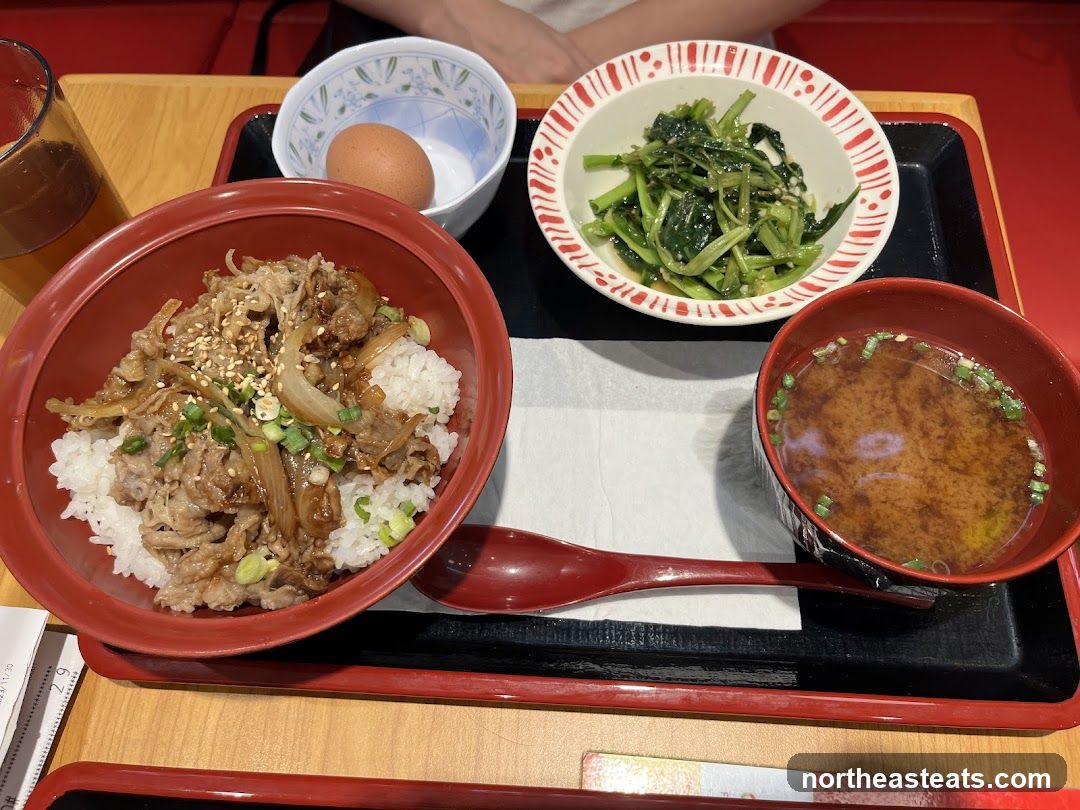 Japanese Beef Bowl Set