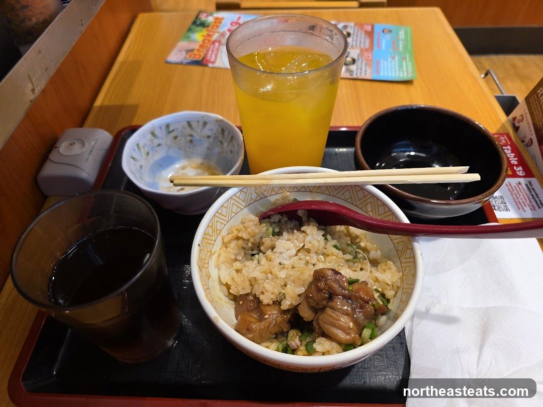 Japanese Rice Bowl Meal