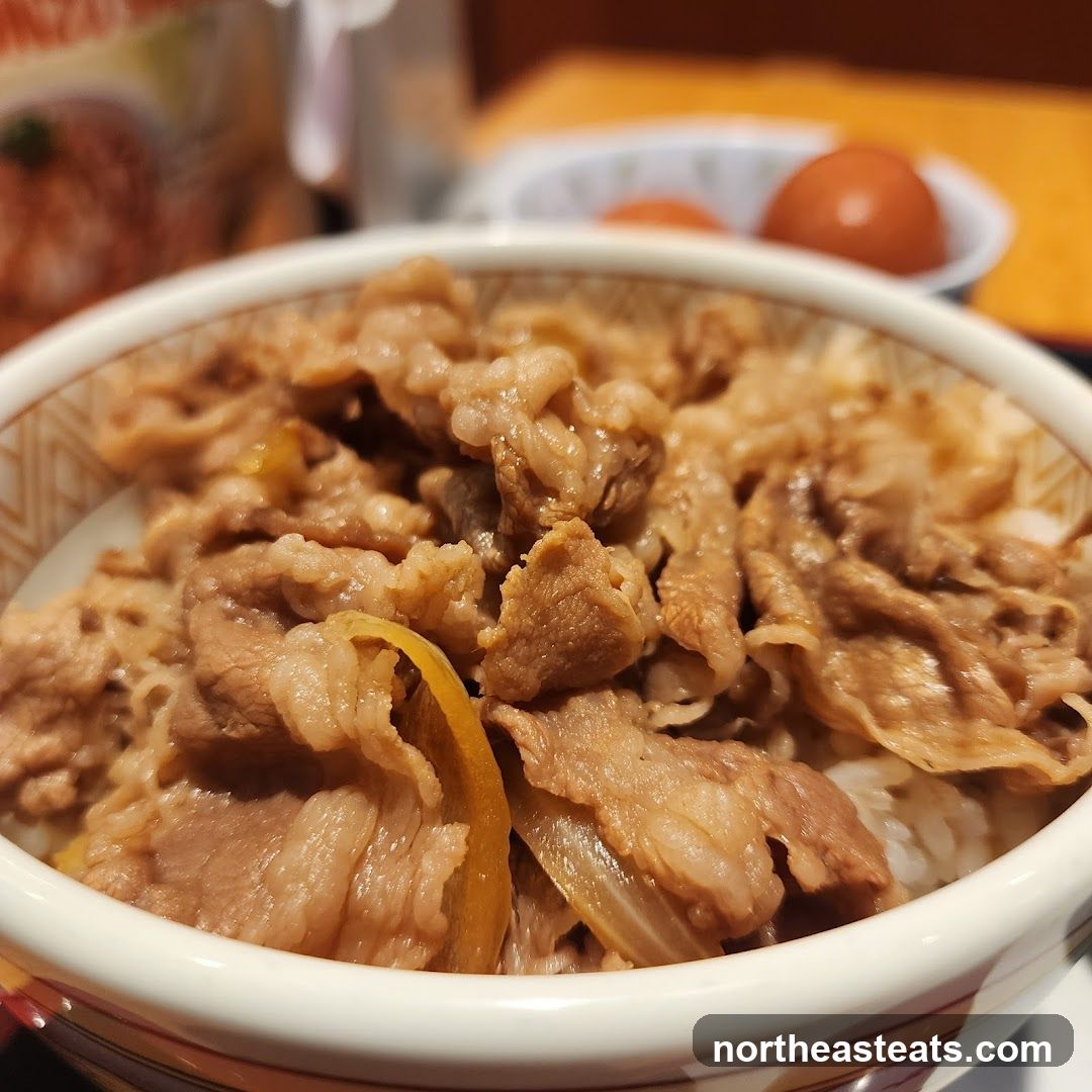 Beef Bowl