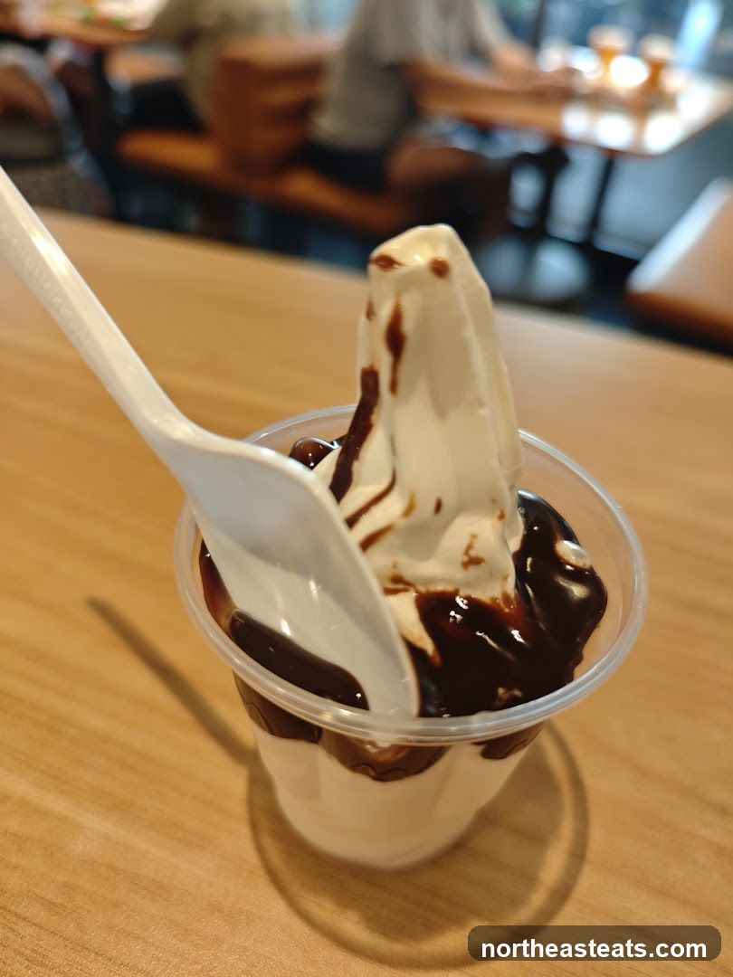 Soft Serve Ice Cream with Chocolate Sauce