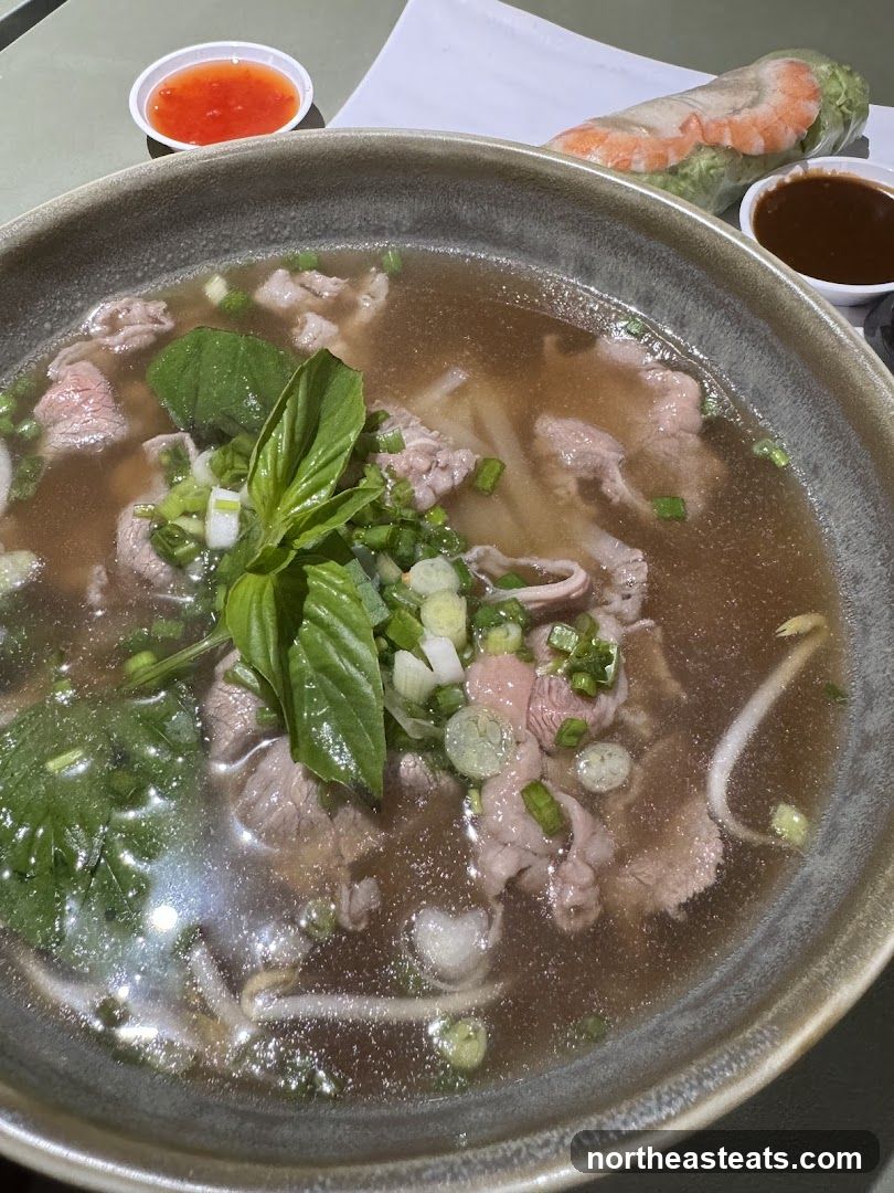 Pho with Beef and Spring Roll