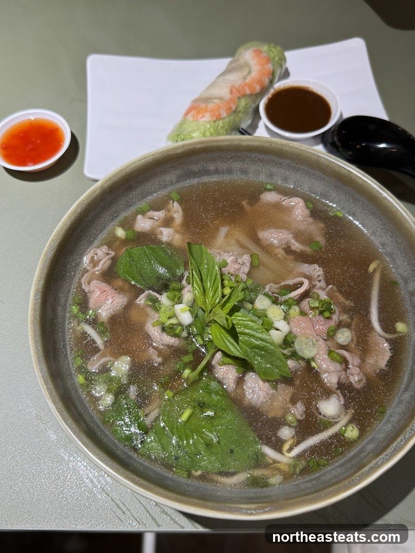 Pho and Spring Roll
