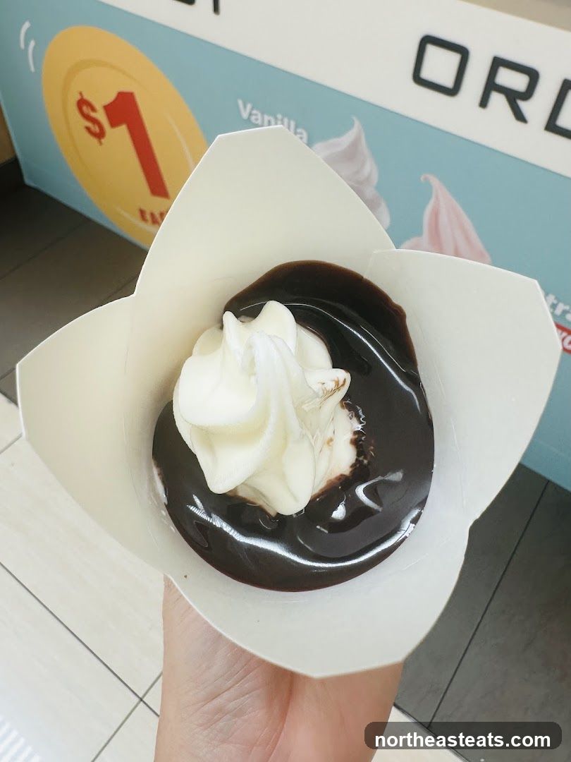 Soft Serve Ice Cream with Chocolate Sauce