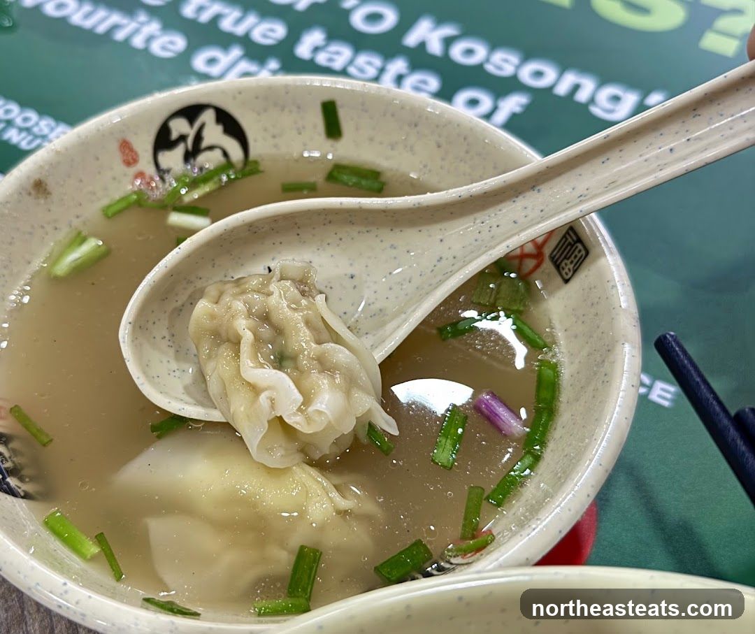 Wonton Soup