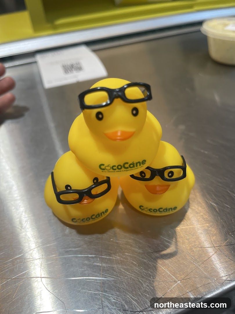 Rubber Ducks with Glasses