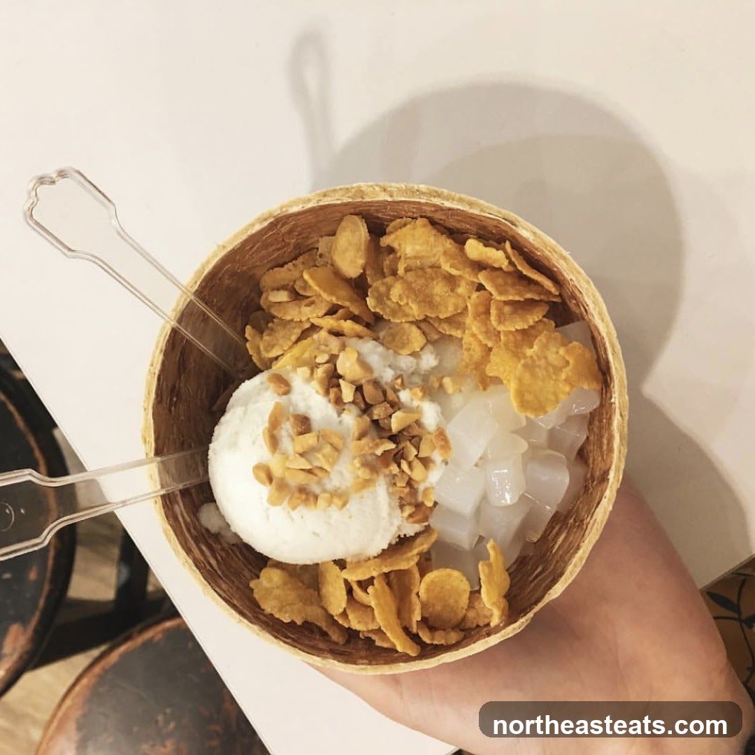 Coconut Ice Cream with Toppings