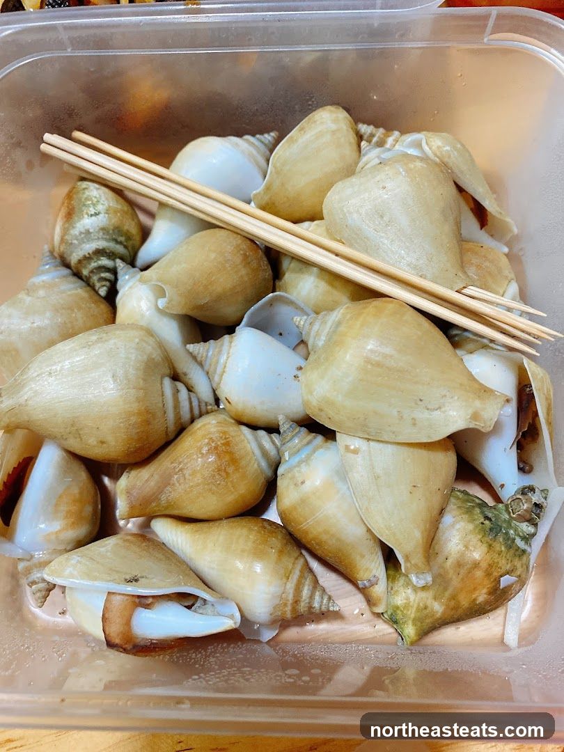 Seashells with Skewers
