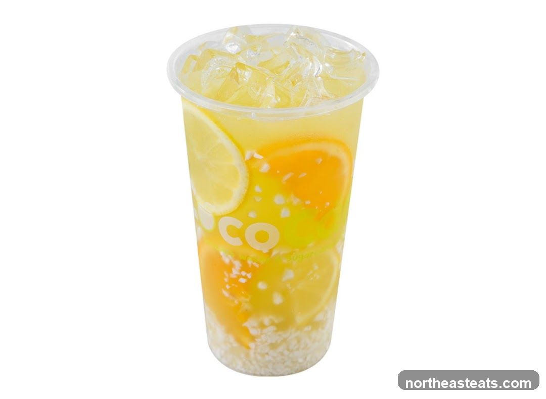 Citrus Fruit Drink with Ice