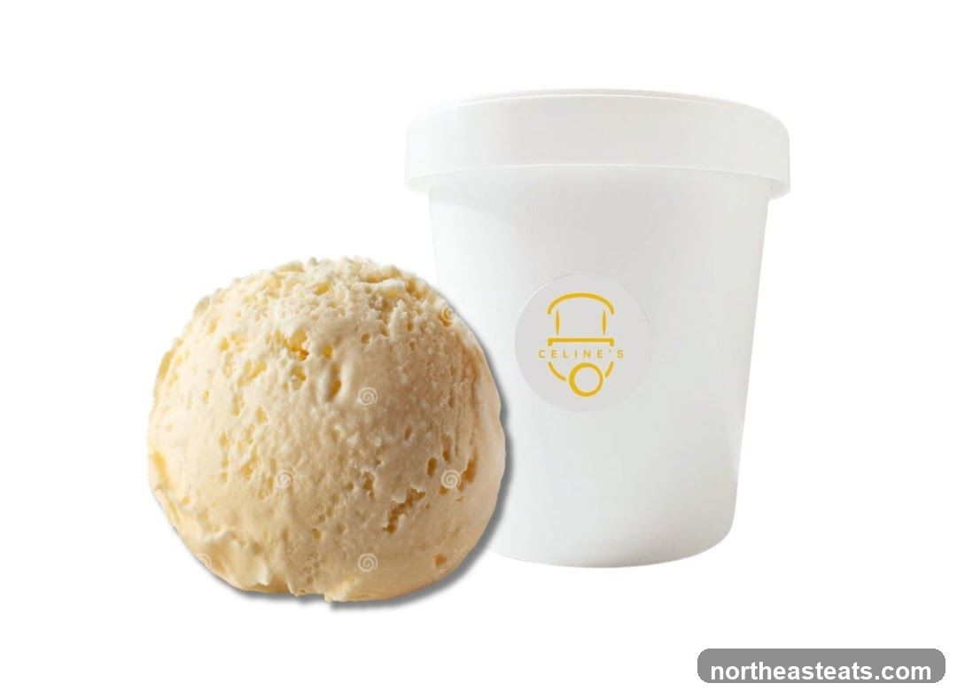 Ice Cream Pint and Scoop