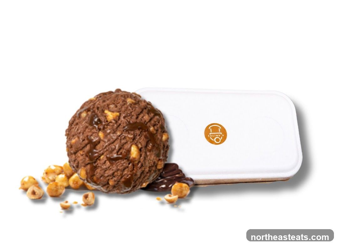 Chocolate Hazelnut Ice Cream