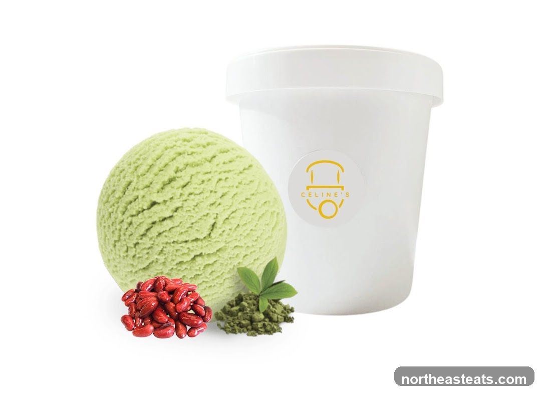 Ice Cream Tub with Scoop and Ingredients
