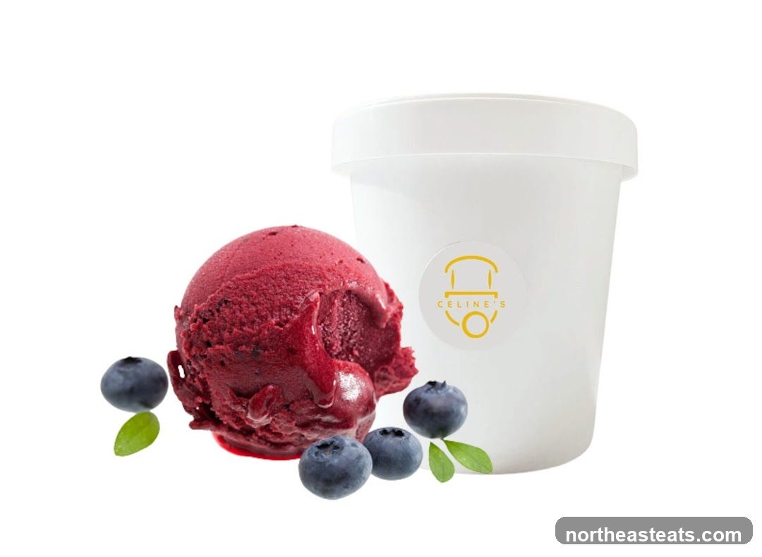 Blueberry Ice Cream