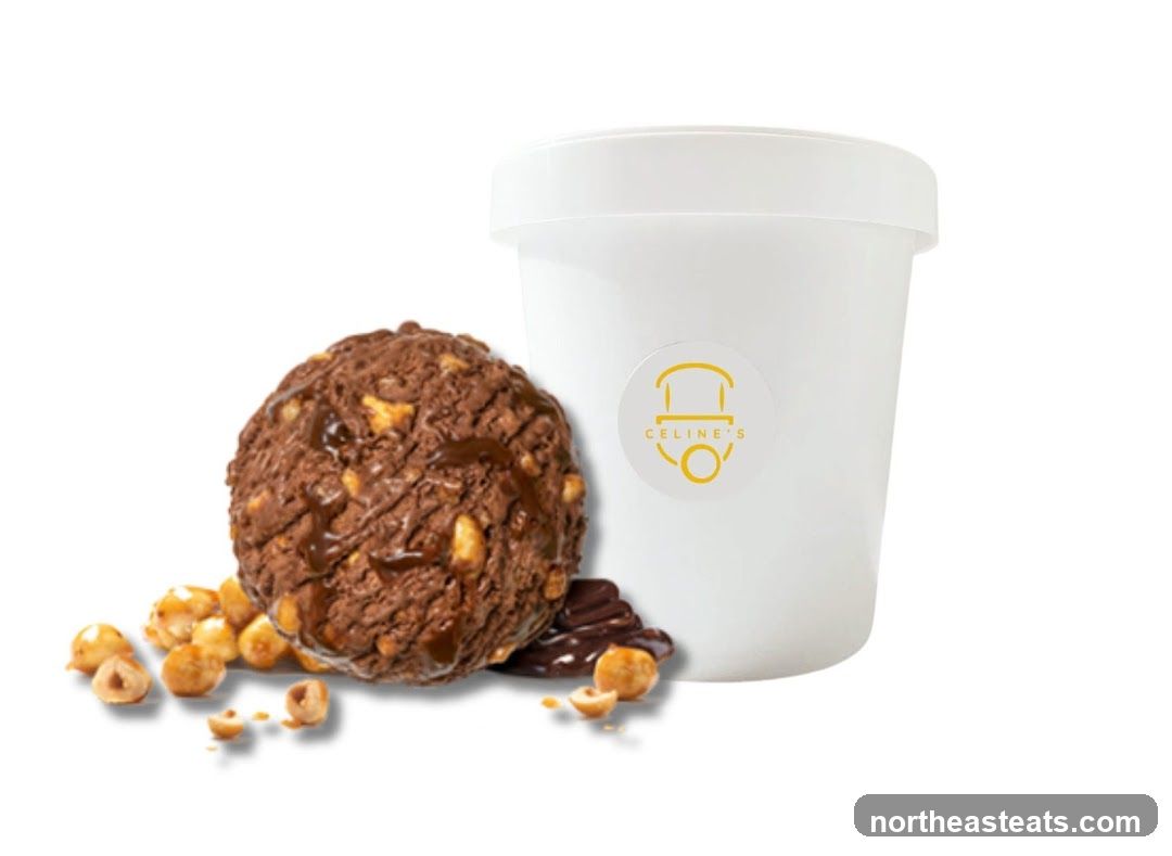 Chocolate Hazelnut Ice Cream Tub