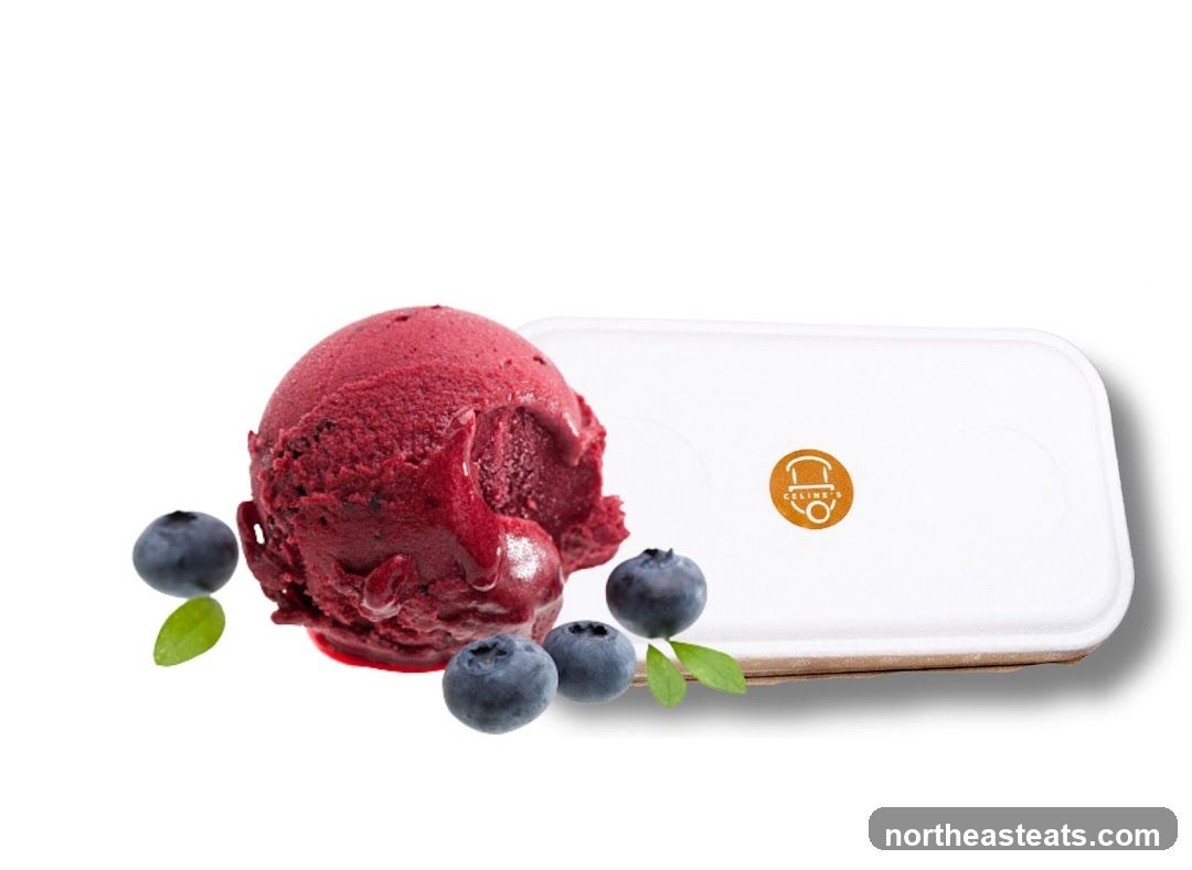 Blueberry Ice Cream