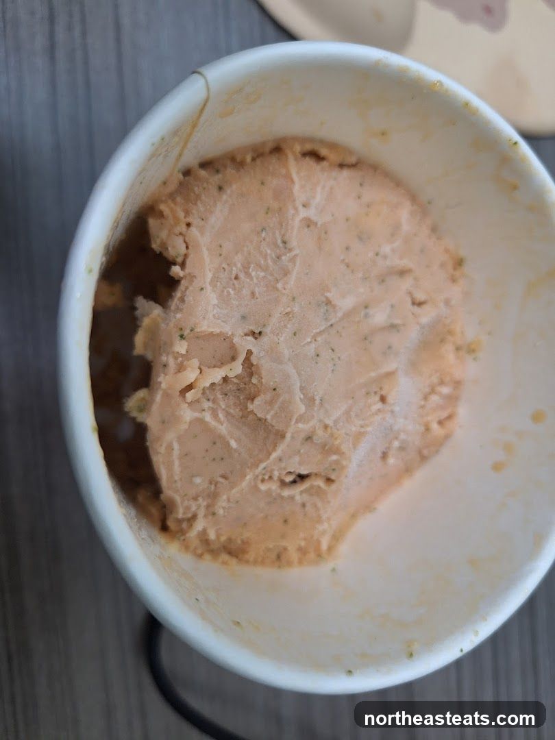 Ice Cream in a Cup