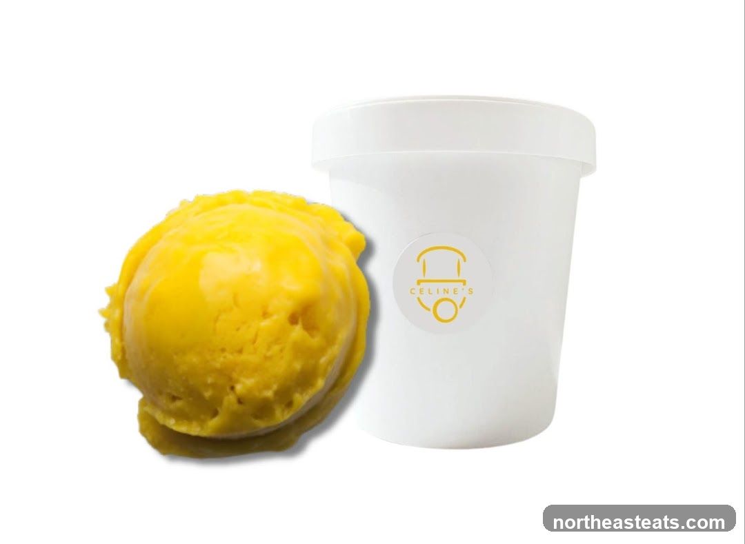 Ice Cream Tub and Scoop