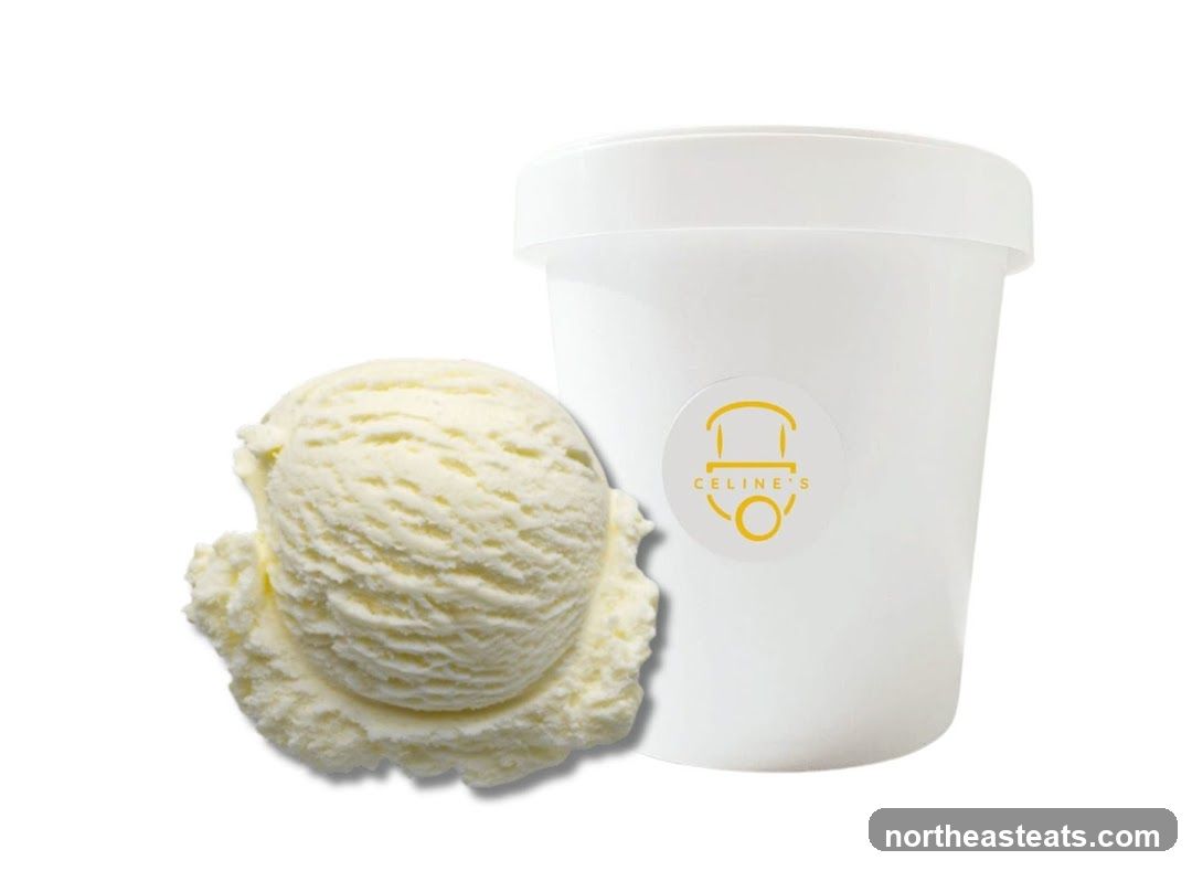 Ice Cream Pint with Scoop