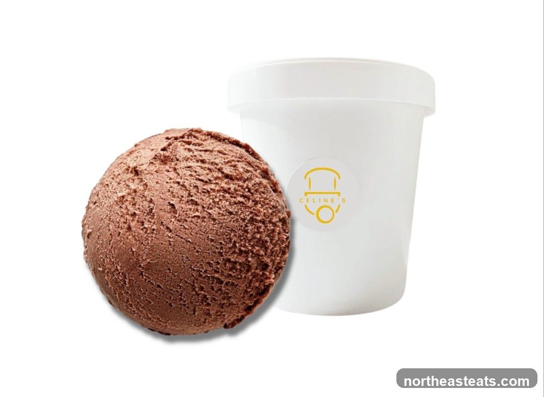 Chocolate Ice Cream Scoop and Container