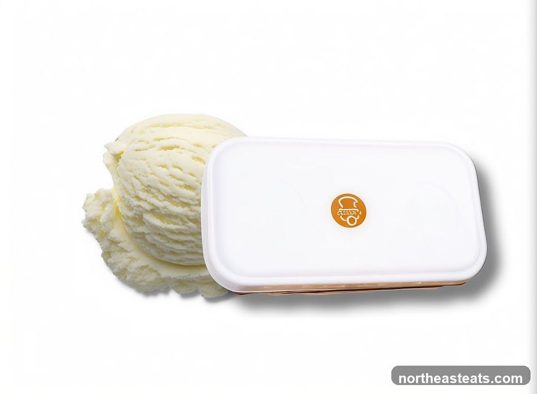 Ice Cream Container and Scoop