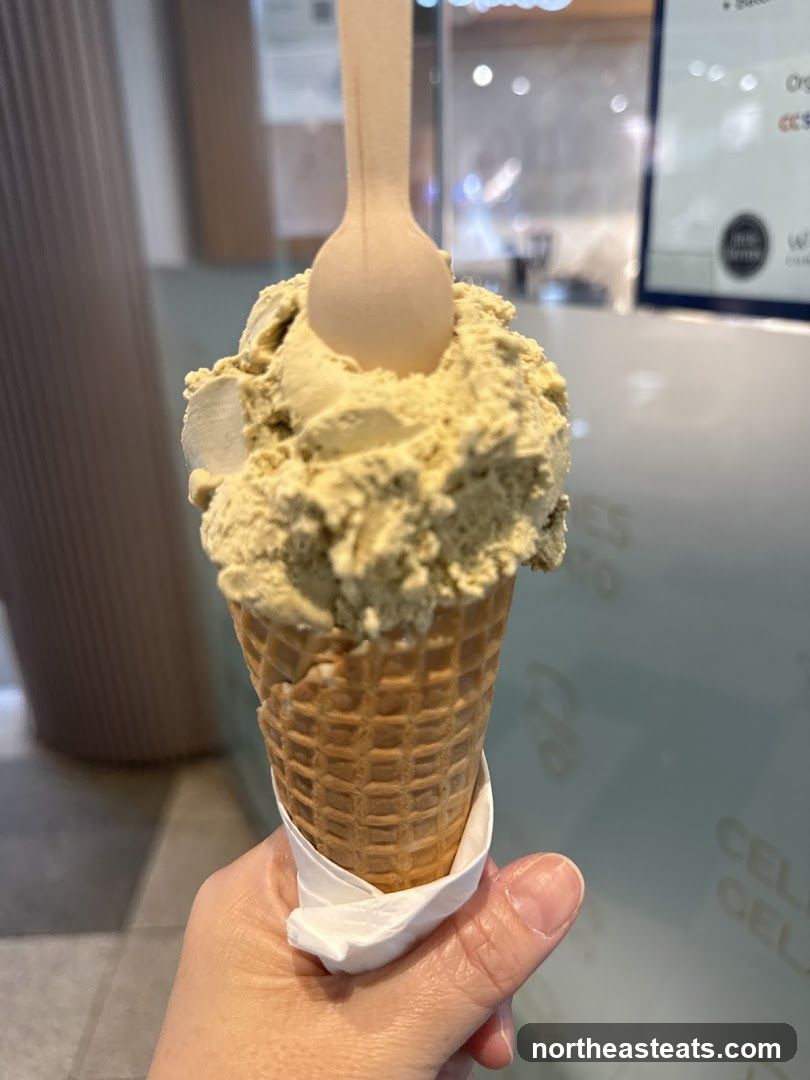 Ice Cream Cone