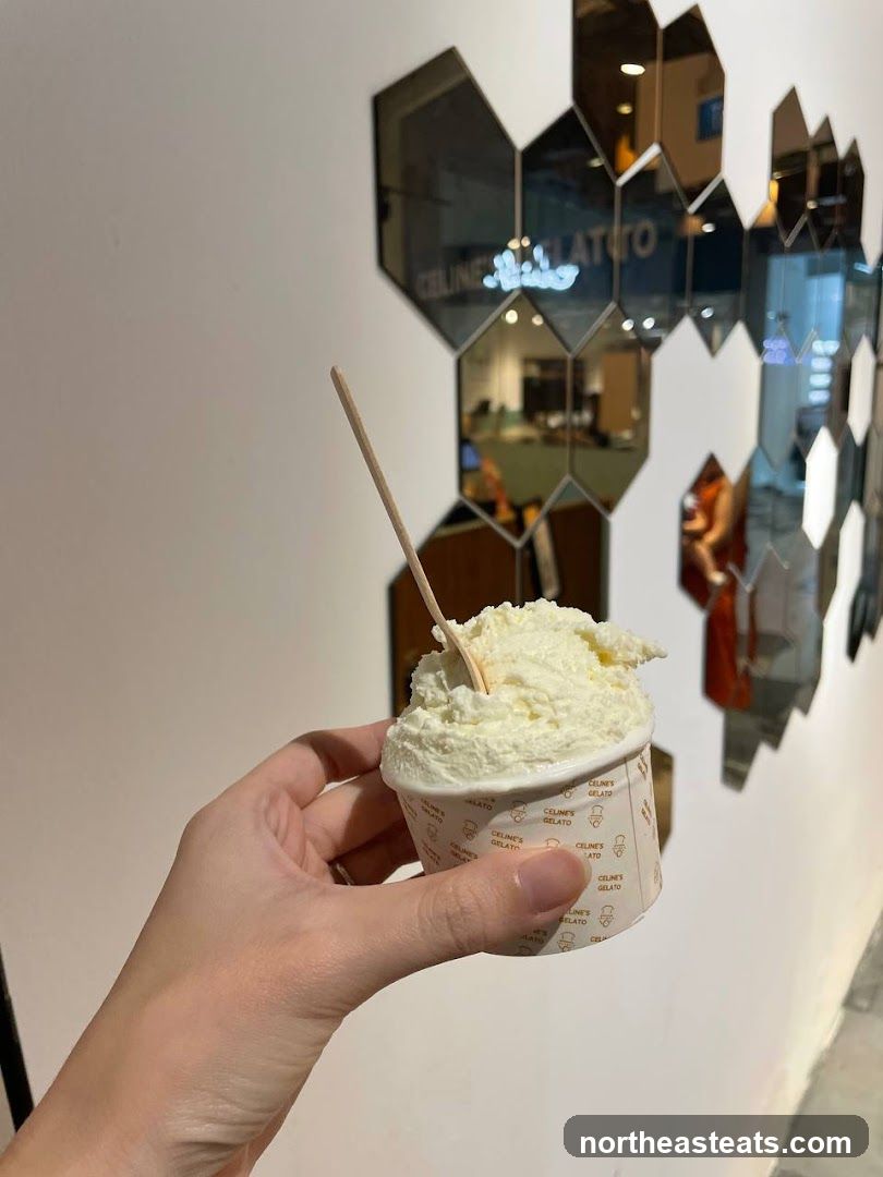 Gelato Cup