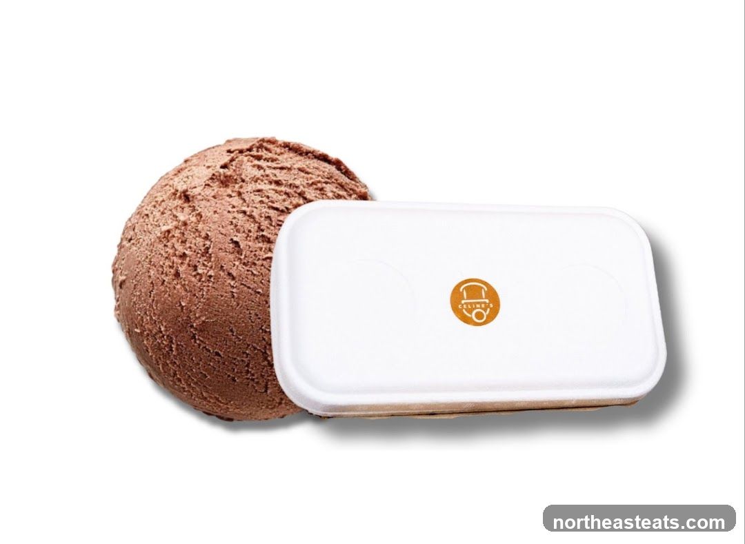 Chocolate Ice Cream Scoop with Takeout Container