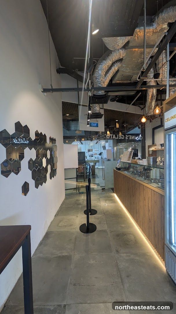 Gelato Shop Interior