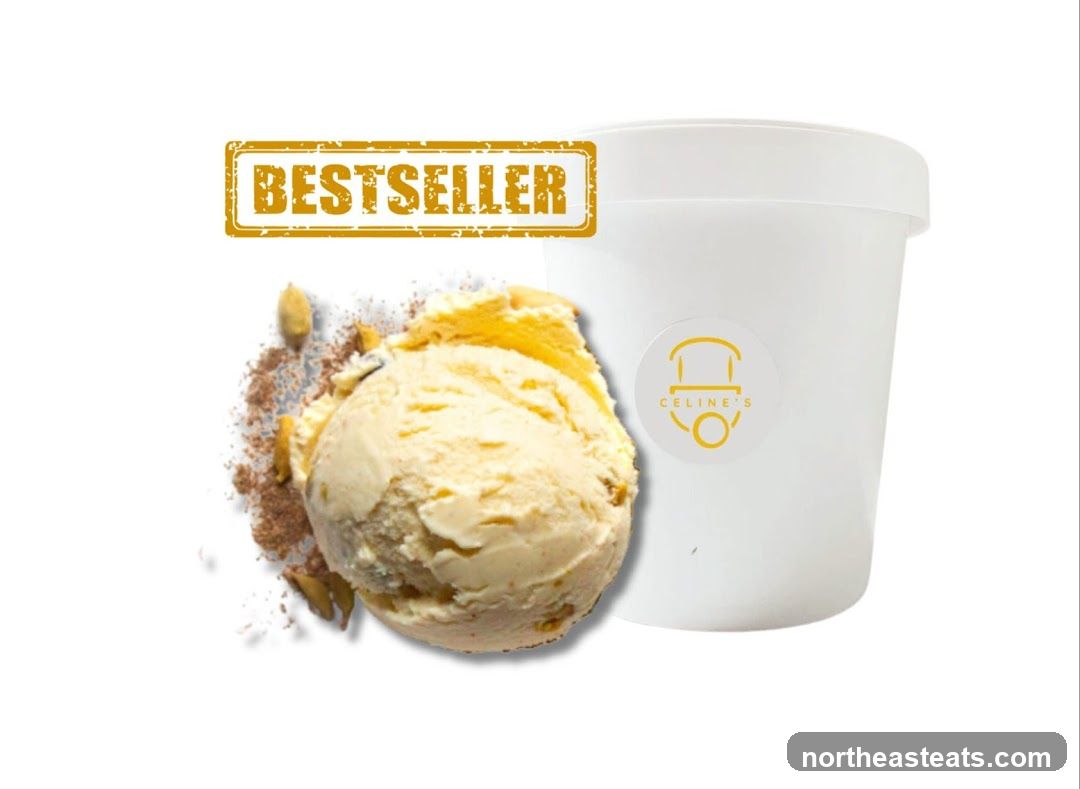 Ice Cream Container with Scoop