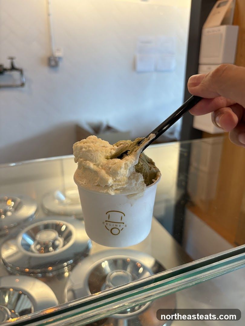 Ice Cream Cup
