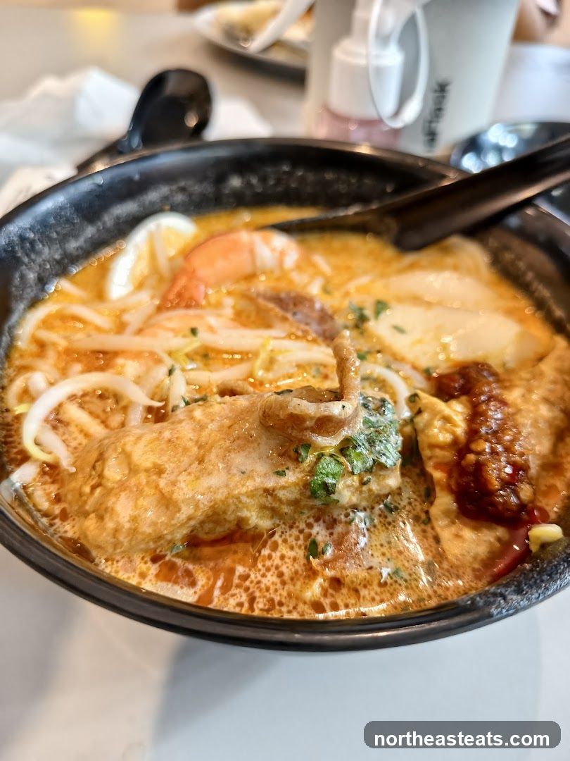 Laksa Noodle Soup